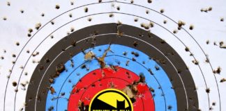 Scattershooting with Jett (October 2018)