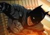 THE BATMAN’s FanDome ’20 Trailer Gets Animated