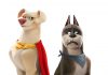 DC LEAGUE OF SUPER-PETS | Official Trailer #1