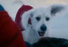 SUPERMAN: Trailer #1