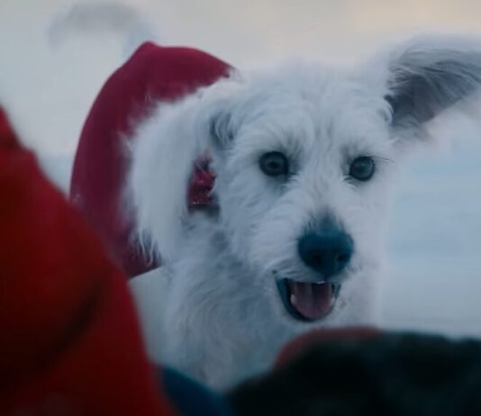 SUPERMAN: Trailer #1